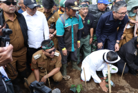 KDM bersama Bupati Bandung Dadang Supriatna menghijaukan kembali perkebunan teh di Pangalengan, Selasa (16/12/2025). Foto: Diskominfo Kab. Bandung