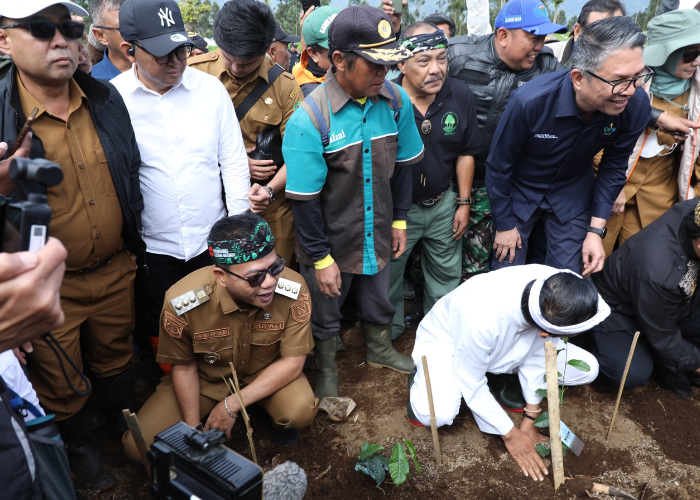 KDM bersama Bupati Bandung Dadang Supriatna menghijaukan kembali perkebunan teh di Pangalengan, Selasa (16/12/2025). Foto: Diskominfo Kab. Bandung