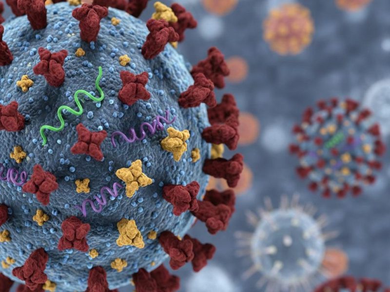 Kementerian Kesehatan Republik Indonesia menegaskan bahwa situasi influenza A(H3N2) subclade K di Indonesia hingga akhir Desember 2025 masih dalam kondisi terkendali dan tidak menunjukkan peningkatan tingkat keparahan dibandingkan clade maupun subclade influenza lainnya. Foto: kemkes.go.id