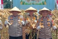 Wakapolda Jawa Barat, Brigjen Adi Vivid bersama Kapolres Cimahi AKBP Niko Nurullah A.P. dalam panen raya jagung di Kecamatan Cikalong Wetan, Kabupaten Bandung Barat, Kamis (8/1/2026). Foto: Warta Pajajaran
