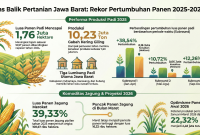 Infografik Data BPS Jawa Barat menampilkan peningkatan luas panen dan produksi padi, beras, serta jagung sepanjang 2025, termasuk perbandingan antar subround dan proyeksi potensi panen Januari–Maret 2026. Foto: Ilustrasi