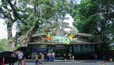 Pemerintah Kota (Pemkot) Bandung memastikan, penutupan sementara Kebun Binatang Bandung (Bandung Zoo) dilakukan sebagai langkah menjaga ketertiban dan kejelasan pengelolaan aset daerah. (Pemprov Jabar)