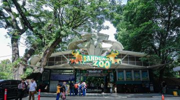 Pemerintah Kota (Pemkot) Bandung memastikan, penutupan sementara Kebun Binatang Bandung (Bandung Zoo) dilakukan sebagai langkah menjaga ketertiban dan kejelasan pengelolaan aset daerah. (Pemprov Jabar)