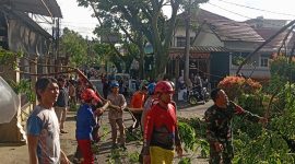 Petugas gabungan mengevakuasi pohon tumbang yang menutup ruas jalan di Kota Cimahi, Jumat (6/3/2026). Angin kencang yang terjadi pada sore hari tersebut menyebabkan ratusan rumah rusak serta beberapa warga mengalami luka ringan. Foto: Dok. Istimewa