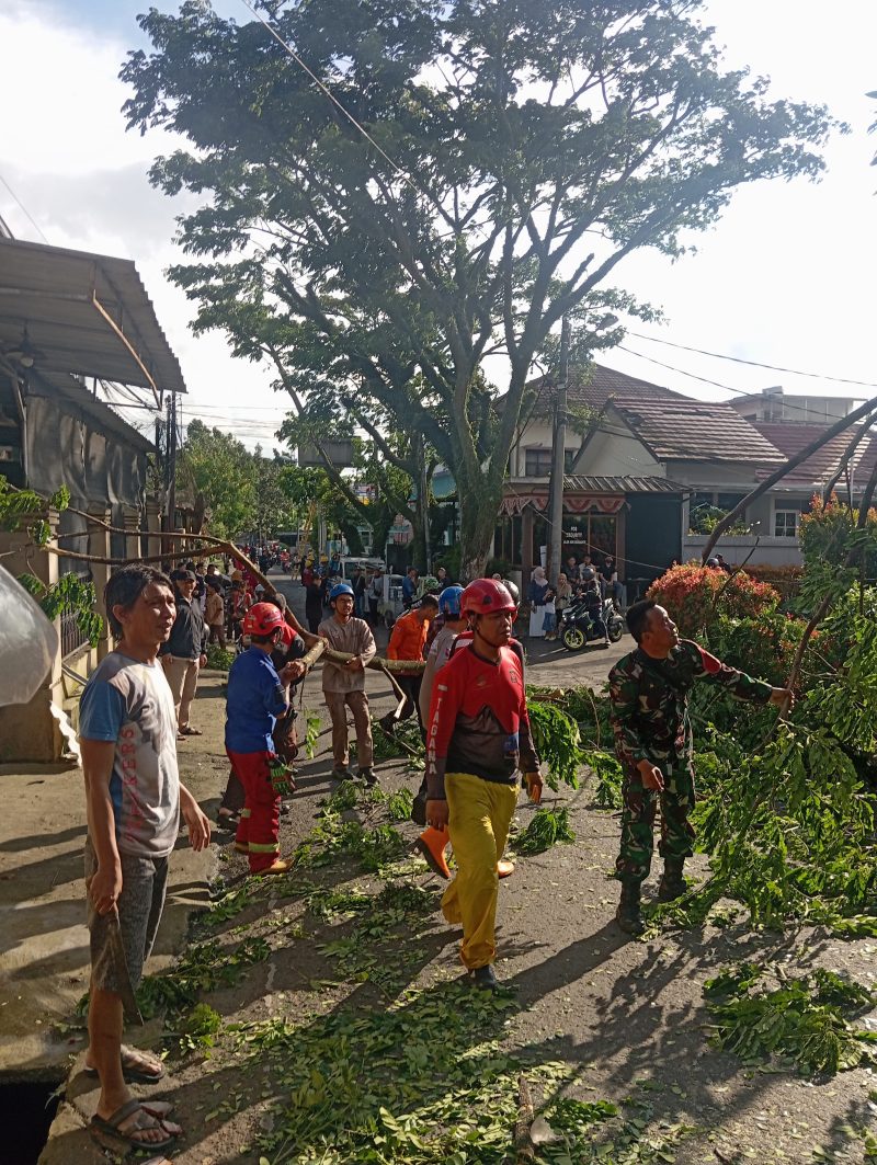 Petugas gabungan mengevakuasi pohon tumbang yang menutup ruas jalan di Kota Cimahi, Jumat (6/3/2026). Angin kencang yang terjadi pada sore hari tersebut menyebabkan ratusan rumah rusak serta beberapa warga mengalami luka ringan. Foto: Dok. Istimewa