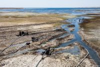 Sungai Eufrat Mulai Mengering. (Foto : DW SoftNews)