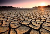 Ilustrasi Kemarau - Musim kemarau tahun 2026 di wilayah Jawa Barat diperkirakan datang lebih cepat dibandingkan pola normalnya (Google)