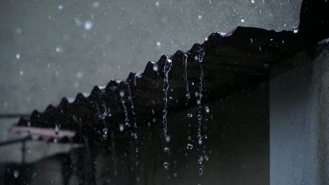 
Ilustrasi hujan. (Photo by Nguyễn Hữu Nhã from Pexels)