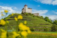 Liechtenstein ©MiriamMayer-LI-Radweg