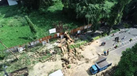 Pemerintah Kota Bandung kembali menunjukkan respon cepat dalam menangani kejadian darurat. Kali ini, insiden pohon tumbang yang terjadi di Jalan Ir. H. Juanda (depan Palais Dago), Kelurahan Dago, menjadi bukti kesiapsiagaan tim di lapangan saat cuaca ekstrem melanda kota. (Dok Istimewa)