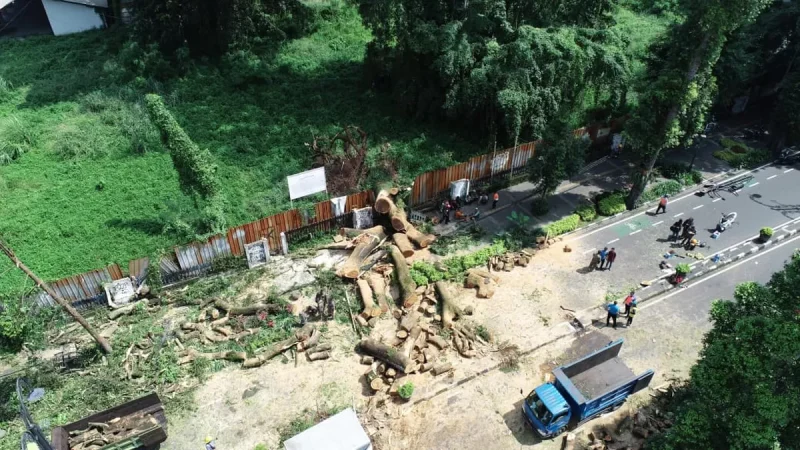 Pemerintah Kota Bandung kembali menunjukkan respon cepat dalam menangani kejadian darurat. Kali ini, insiden pohon tumbang yang terjadi di Jalan Ir. H. Juanda (depan Palais Dago), Kelurahan Dago, menjadi bukti kesiapsiagaan tim di lapangan saat cuaca ekstrem melanda kota. (Dok Istimewa)