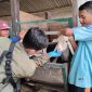 Dinas Ketahanan Pangan, Pertanian, dan Perikanan (DKP3) Kabupaten Majalengka bergerak cepat memastikan kelayakan dan kesehatan hewan kurban menjelang Hari Raya Iduladha
