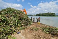 Pengangkatan Eceng Gondok di Waduk Saguling (Foto Jabarprov)
