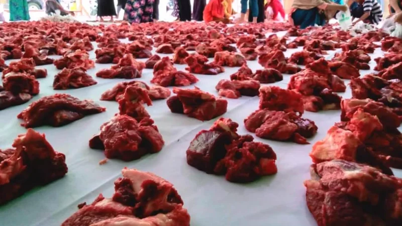 Ilustrasi Daging Qurban