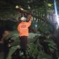 Petugas BPBD Kabupaten Sumedang bersama unsur gabungan melakukan evakuasi pohon flamboyan yang tumbang di Jalan Nasional depan Unpad Jatinangor, Senin (1/6/2026) malam. Pohon yang diduga lapuk tersebut menimpa lima sepeda motor dan menyebabkan lima orang terluka. Foto: BPBD Kabupaten Sumedang