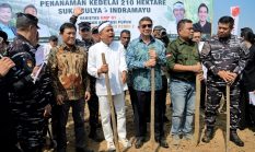 KDM Dorong Petani Tanam Kedelai dan Kacang untuk Jaga Kesuburan Tanah