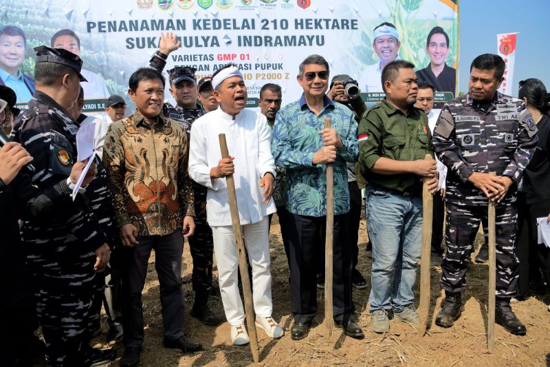 Gubernur Jawa Barat Dedi Mulyadi bersama sejumlah pemangku kepentingan menghadiri kegiatan penanaman kedelai di lahan seluas 210 hektare di Desa Sukamulya, Kecamatan Tukdana, Kabupaten Indramayu, Rabu (10/6/2026). Kegiatan tersebut menjadi bagian dari upaya mendukung program swasembada kedelai nasional sekaligus mendorong petani menerapkan pola tanam yang menjaga kesuburan tanah. (Foto: Humas Jabar)