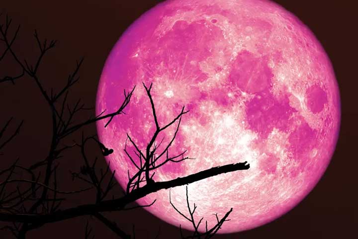 Bulan Juni 2026 menjadi periode yang dinantikan para penggemar astronomi. Sepanjang bulan ini, langit malam akan menyuguhkan berbagai fenomena menarik mulai dari pertemuan planet-planet terang, hujan meteor, hingga kemunculan Strawberry Moon yang selalu mencuri perhatian.