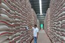 Stok Beras Bulog Kasokandel Tembus 15.800 Ton, Aman Penuhi Kebutuhan Hingga Setahun
