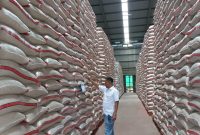 Stok Beras Bulog Kasokandel Tembus 15.800 Ton, Aman Penuhi Kebutuhan Hingga Setahun