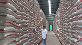 Stok Beras Bulog Kasokandel Tembus 15.800 Ton, Aman Penuhi Kebutuhan Hingga Setahun