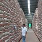 Stok Beras Bulog Kasokandel Tembus 15.800 Ton, Aman Penuhi Kebutuhan Hingga Setahun