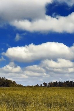 Cuaca Bandung dan Jawa Barat Hari Ini, Kamis 4 Juni 2026: Langit Berawan, Hujan Ringan Berpotensi Turun Sore Hari