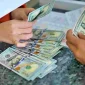Nilai tukar dolar Amerika Serikat (AS)
