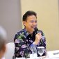 Menteri Kesehatan Budi Gunadi Sadikin (Menkes)