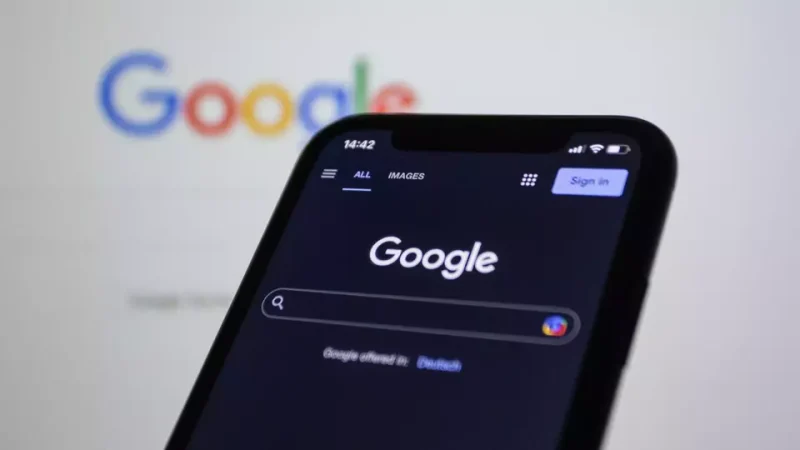 Ilustrasi Google. (Pexels/Bastian Riccardi)