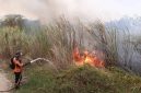 BPBD Majalengka Catat Karhutla Capai 10,85 Hektare dalam Sepekan, Masyarakat Diminta Tingkatkan Kewaspadaan Selama Musim Kemarau. (Dok Istimewa)