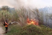 BPBD Majalengka Catat Karhutla Capai 10,85 Hektare dalam Sepekan, Masyarakat Diminta Tingkatkan Kewaspadaan Selama Musim Kemarau. (Dok Istimewa)