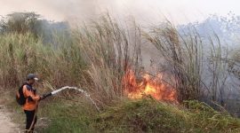BPBD Majalengka Catat Karhutla Capai 10,85 Hektare dalam Sepekan, Masyarakat Diminta Tingkatkan Kewaspadaan Selama Musim Kemarau. (Dok Istimewa)