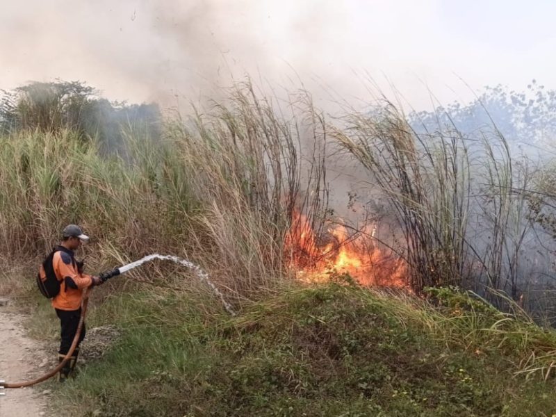 BPBD Majalengka Catat Karhutla Capai 10,85 Hektare dalam Sepekan, Masyarakat Diminta Tingkatkan Kewaspadaan Selama Musim Kemarau. (Dok Istimewa)