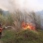 BPBD Majalengka Catat Karhutla Capai 10,85 Hektare dalam Sepekan, Masyarakat Diminta Tingkatkan Kewaspadaan Selama Musim Kemarau. (Dok Istimewa)
