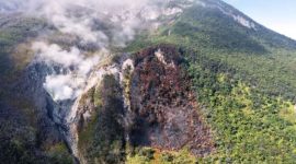 Kebakaran Gunung Gede Pangrango Memasuki Pekan Kedua, Titik Asap di Kawah Wadon Tak Lagi Terlihat