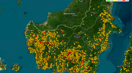 Hotspot di Kalimantan per 29 Agustus 2026 di SiPongi Kemenhut.(Sipongi Kemenhut)
