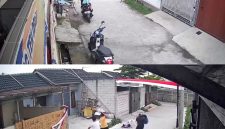 Seorang bocah perempuan berinisial B (9), warga Kompleks Grand Cendana Residence, Desa Wargaluyu, Kecamatan Arjasari, Kabupaten Bandung, Jawa Barat, diserang seekor anjing ras pitbull pada Minggu (23/8/2026) sore.(Tangkapan layar CCTV)

