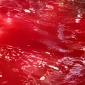 Warga mendatangi Mata Air Keramat Kareo di Kampung Kareo Desa Cibadung Gunung Sindur Kabupaten Bogor setelah air sempat berubah menjadi merah pada Minggu 20 September 2026

