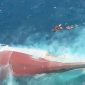 Kondisi KM Virgo Transport 8 yang ditemukan dalam kondisi terbalik di wilayah laut jawa(KOMPAS.COM/Nur Khalis)

