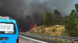 Kebakaran Lahan Kering Hanguskan Area Dekat Exit Tol Cisumdawu Cimalaka, Asap Tebal Sempat Ganggu Jarak Pandang (Threads/sul_than)
