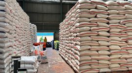 Stok beras yang tersimpan di gudang Bulog Jabar.(Dok BULOG JABAR)
