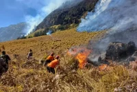 Tim gabungan berusaha memadamkan api yang masih menyala di kawasan TNBTS, Rabu (5/8/2026). ANTARA/HO-BPBD Probolinggo