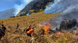 Tim gabungan berusaha memadamkan api yang masih menyala di kawasan TNBTS, Rabu (5/8/2026). ANTARA/HO-BPBD Probolinggo