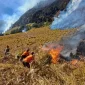 Tim gabungan berusaha memadamkan api yang masih menyala di kawasan TNBTS, Rabu (5/8/2026). ANTARA/HO-BPBD Probolinggo