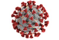 Merebaknya kasus influenza tipe A dan virus HMPV di Tiongkok menjadi perhatian, namun Kemenkes memastikan hingga kini belum ada laporan kasus di Indonesia.(Pexels/CDC)

