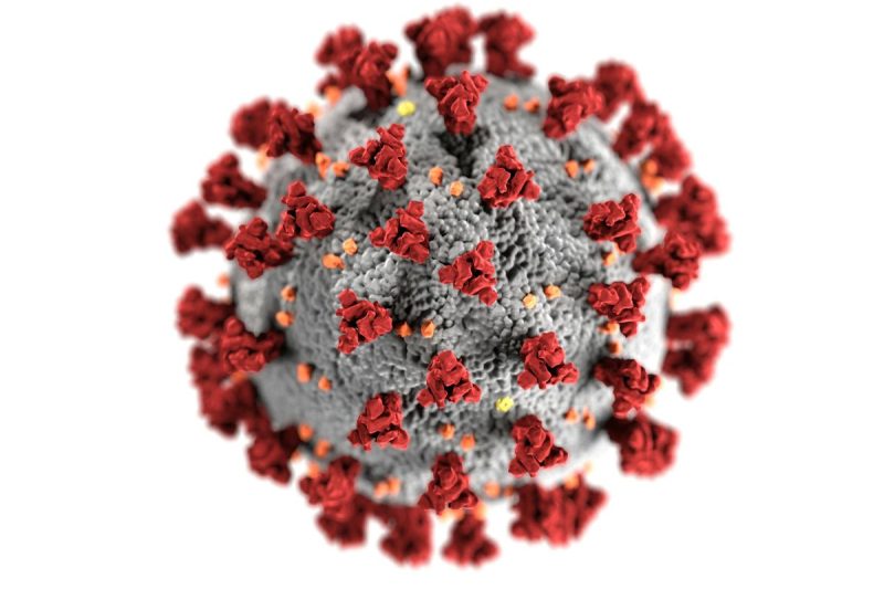 Merebaknya kasus influenza tipe A dan virus HMPV di Tiongkok menjadi perhatian, namun Kemenkes memastikan hingga kini belum ada laporan kasus di Indonesia.(Pexels/CDC)

