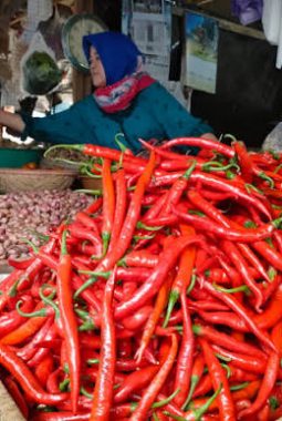 Harga Cabai Rawit Merah di Bandung Tembus Rp100 Ribu per Kg, Pedagang Ungkap Penyebabnya
