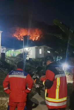 Kebakaran Lahan di Cililin Bandung Barat Hanguskan 1 Hektare Area Perhutani