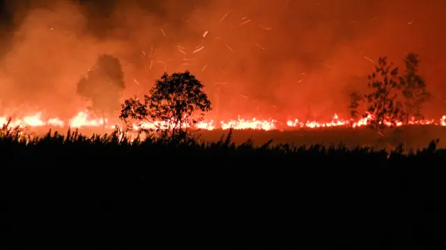 Api membakar lahan di Desa Tumbang Nusa, Kabupaten Pulang Pisau, Kalimantan Tengah, Minggu (30/08). (ANTARA FOTO/Auliya Rahman)